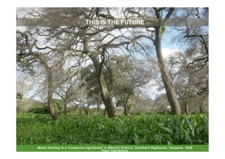 Transformational Opportunities to Perennialize Global Farming Creating an EverGreen Agriculture]