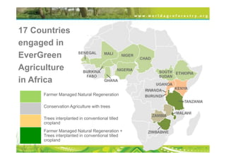 Transformational Opportunities to Perennialize Global Farming Creating an EverGreen Agriculture]