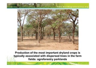 Transformational Opportunities to Perennialize Global Farming Creating an EverGreen Agriculture]