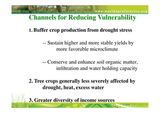 Transformational Opportunities to Perennialize Global Farming Creating an EverGreen Agriculture]