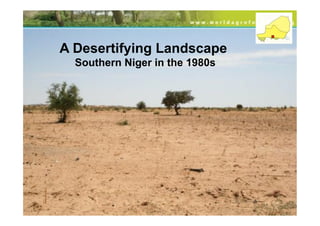 Transformational Opportunities to Perennialize Global Farming Creating an EverGreen Agriculture]