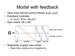 Optimal Feedback Control for Human Gait with Function Electrical ...