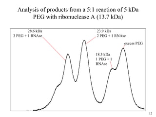 12
Analysis of products from a 5:1 reaction of 5 kDa
PEG with ribonuclease A (13.7 kDa)
28.6 kDa
3 PEG + 1 RNAse
23.9 kDa
2 PEG + 1 RNAse
18.3 kDa
1 PEG + 1
RNAse
excess PEG
 