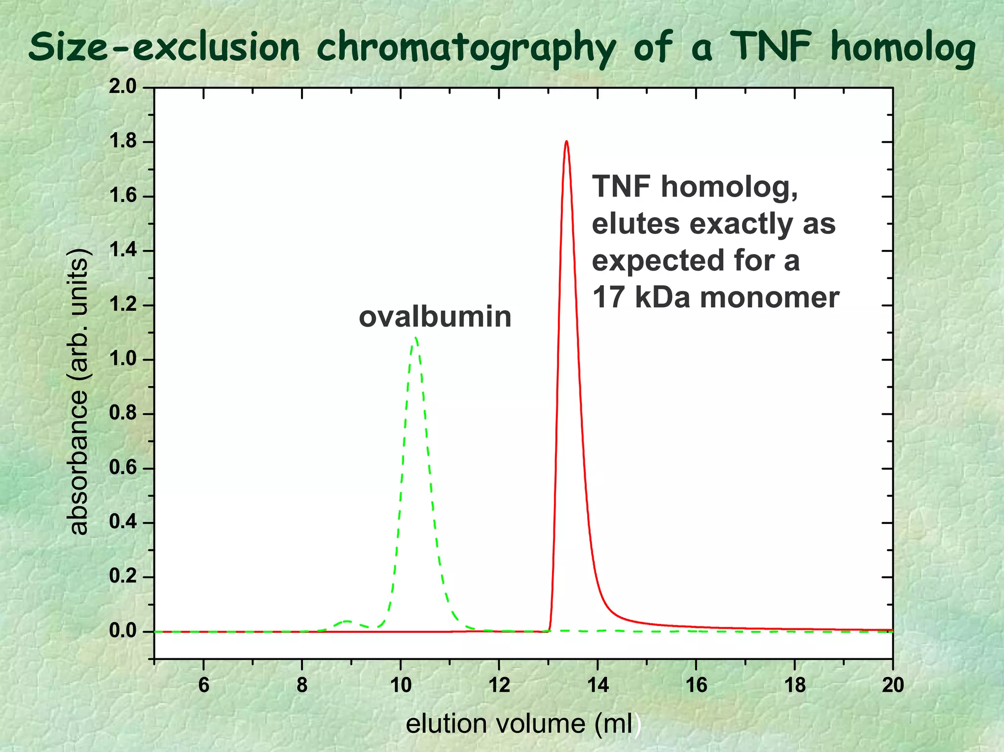 Size-exclusion chromatography of a TNF homolog
6 8 10 12 14 16 18 20
0.0
0.2
0.4
0.6
0.8
1.0
1.2
1.4
1.6
1.8
2.0absorbance(arb.units)
elution volume (ml)
ovalbumin
TNF homolog,
elutes exactly as
expected for a
17 kDa monomer
 