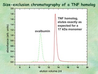 Size-exclusion chromatography of a TNF homolog
6 8 10 12 14 16 18 20
0.0
0.2
0.4
0.6
0.8
1.0
1.2
1.4
1.6
1.8
2.0absorbance...