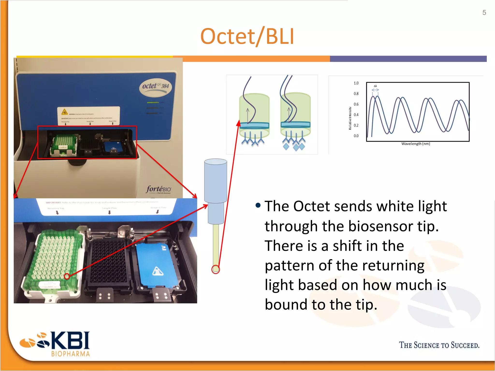 Octet/BLI
5
• The Octet sends white light
through the biosensor tip.
There is a shift in the
pattern of the returning
light based on how much is
bound to the tip.
 