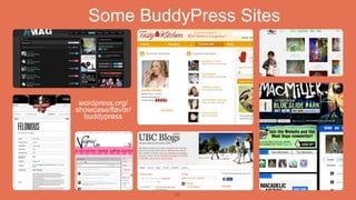 Some BuddyPress Sites



 wordpress.org/
showcase/flavor/
  buddypress




                   29
 