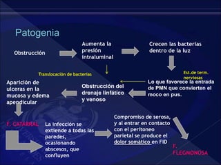 Patogenia
Crecen las bacterias
dentro de la luz
Aumenta la
presión
intraluminal
Lo que favorece la entrada
de PMN que convierten el
moco en pus.
Obstrucción del
drenaje linfático
y venoso
Translocación de bacterias
Aparición de
ulceras en la
mucosa y edema
apendicular
La infección se
extiende a todas las
paredes,
ocasionando
abscesos, que
confluyen
Compromiso de serosa,
y al entrar en contacto
con el peritoneo
parietal se produce el
dolor somático en FID
F. CATARRAL
F.
FLEGMONOSA
Obstrucción
Est.de term.
nerviosas
 