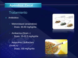 Antibiótico
› Metronidazol (anaerobios)
 Dosis: 30-40 mg/kg/día
› Amikacina (Gram -)
 Dosis: 15-22.5 mg/kg/día
› Ampicilina / Sulbactam
(Gram +)
 Dosis: 150 mg/kg/día
 
