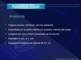 • Órgano tubular, cilíndrico, con luz estrecha.
• Implantado en la parte interna y/o postero -interna del ciego.
• Longitud de 1cm a 30cm (promedio de 6 a 9 cm).
• Diámetro 3 mm. a 1 cm.
• Capacidad intraluminal normal de 0,1 ml.
Schwarz. Principios de cirugía, 8va edición. 2003.
 
