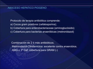 Protocolo de terapia antibiótica comprende:
a) Cocos gram positivos (cefalosporina);
b) Cobertura para enterobacteriaceae (aminoglucósido);
c) Cobertura para bacterias anaeróbicas (metronidazol)
Combinación de 2 ó más antibióticos.
Metronidazol-Clindamicina: excelente contra anaerobios.
AMG o 3º Cef: cobertura para GRAM (-)
 