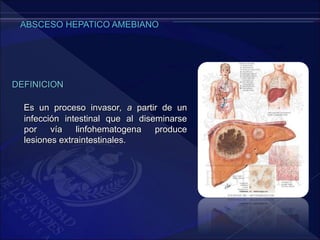 DEFINICION
Es un proceso invasor, a partir de un
infección intestinal que al diseminarse
por vía linfohematogena produce
lesiones extraintestinales.
 