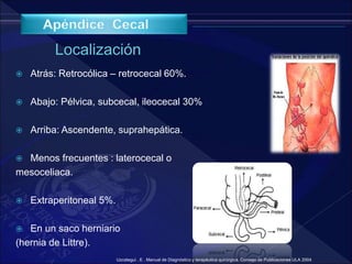  Atrás: Retrocólica – retrocecal 60%.
 Abajo: Pélvica, subcecal, ileocecal 30%
 Arriba: Ascendente, suprahepática.
 Menos frecuentes : laterocecal o
mesoceliaca.
 Extraperitoneal 5%.
 En un saco herniario
(hernia de Littre).
Uzcategui . E . Manual de Diagnóstico y terapéutica quirúrgica. Consejo de Publicaciones ULA 2004
 