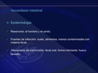  Epidemiologia:
 Reservorio: el hombre y el cerdo.
 Fuentes de infección: suelo, alimentos, manos contaminadas con
materia fecal.
 Mecanismo de transmisión: fecal oral, forma infectante: huevo
larvado.
 