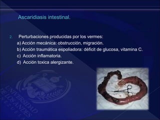 2. Perturbaciones producidas por los vermes:
a) Acción mecánica: obstrucción, migración.
b) Acción traumática espoliadora: déficit de glucosa, vitamina C.
c) Acción inflamatoria.
d) Acción toxica alergizante.
 