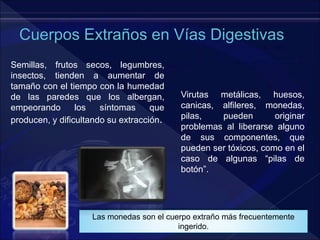 Las monedas son el cuerpo extraño más frecuentemente
ingerido.
Semillas, frutos secos, legumbres,
insectos, tienden a aumentar de
tamaño con el tiempo con la humedad
de las paredes que los albergan,
empeorando los síntomas que
producen, y dificultando su extracción.
Virutas metálicas, huesos,
canicas, alfileres, monedas,
pilas, pueden originar
problemas al liberarse alguno
de sus componentes, que
pueden ser tóxicos, como en el
caso de algunas “pilas de
botón”.
 