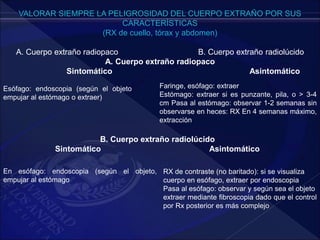 VALORAR SIEMPRE LA PELIGROSIDAD DEL CUERPO EXTRAÑO POR SUS
CARACTERÍSTICAS
(RX de cuello, tórax y abdomen)
A. Cuerpo extraño radiopaco B. Cuerpo extraño radiolúcido
A. Cuerpo extraño radiopaco
Sintomático Asintomático
Esófago: endoscopia (según el objeto
empujar al estómago o extraer)
Faringe, esófago: extraer
Estómago: extraer si es punzante, pila, o > 3-4
cm Pasa al estómago: observar 1-2 semanas sin
observarse en heces: RX En 4 semanas máximo,
extracción
B. Cuerpo extraño radiolúcido
Sintomático Asintomático
En esófago: endoscopia (según el objeto,
empujar al estómago
RX de contraste (no baritado): si se visualiza
cuerpo en esófago, extraer por endoscopia
Pasa al esófago: observar y según sea el objeto
extraer mediante fibroscopia dado que el control
por Rx posterior es más complejo
 