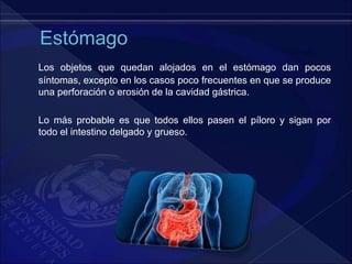 Los objetos que quedan alojados en el estómago dan pocos
síntomas, excepto en los casos poco frecuentes en que se produce
una perforación o erosión de la cavidad gástrica.
Lo más probable es que todos ellos pasen el píloro y sigan por
todo el intestino delgado y grueso.
 