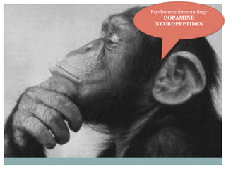 Psychoneuroimmunology
DOPAMINE
NEUROPEPTIDES

 