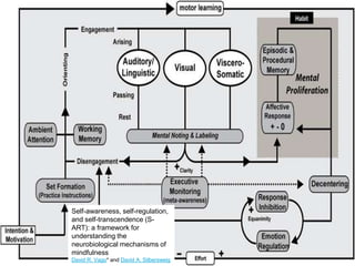 Self-awareness, self-regulation,
and self-transcendence (SART): a framework for
understanding the
neurobiological mechanisms of
mindfulness
David R. Vago* and David A. Silbersweig

 
