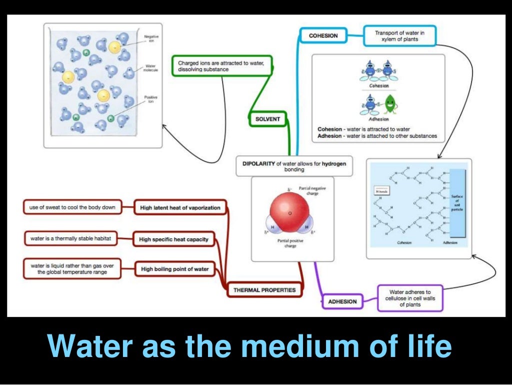 water density water density