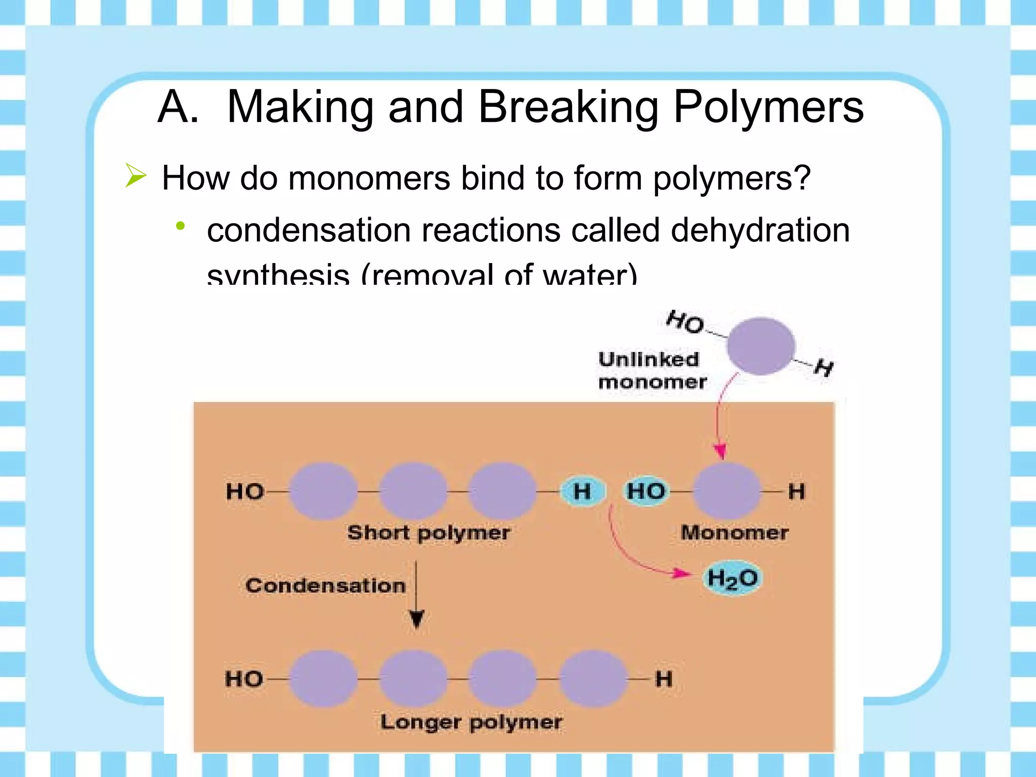 WCCCD - BIO 155 POWERPOINT on Ch 3 The Chemical Building Blocks of Life ...