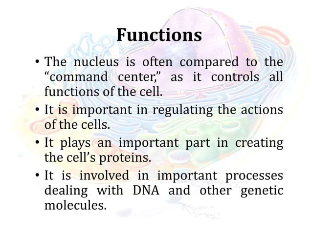 WCCCD - BIO 155 POWERPOINT on Ch 4 Cell Structure.pdf