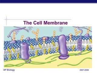2007-2008
AP Biology
The Cell Membrane
 