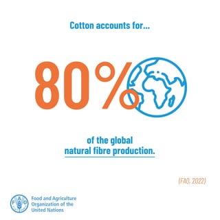 Cotton accounts for 80% of the global natural fibre production.
