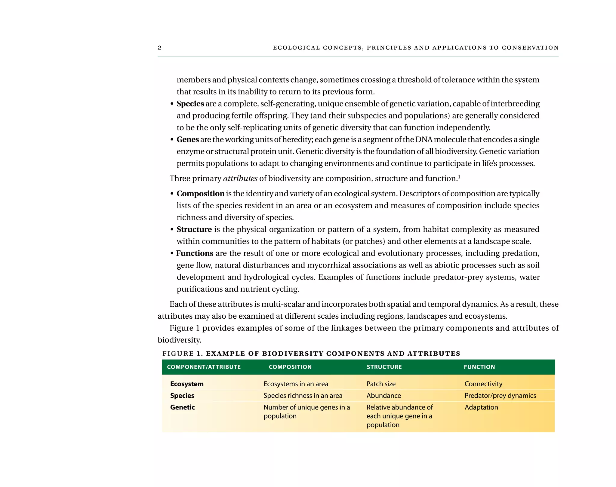 	  ,     
Ecosystem Ecosystems in an area Patch size Connectivity
Species Species richness in an area Abundance Predator/prey dynamics
Genetic Number of unique genes in a
population
Relative abundance of
each unique gene in a
population
Adaptation
COMPONENT/ATTRIBUTE	 COMPOSITION	 STRUCTURE	 FUNCTION
members and physical contexts change, sometimes crossing a threshold of tolerance within the system
that results in its inability to return to its previous form.
•	 Species are a complete, self-generating, unique ensemble of genetic variation, capable of interbreeding
and producing fertile offspring. They (and their subspecies and populations) are generally considered
to be the only self-replicating units of genetic diversity that can function independently.
•	 Genesaretheworkingunitsofheredity;eachgeneisasegmentoftheDNAmoleculethatencodesasingle
enzyme or structural protein unit. Genetic diversity is the foundation of all biodiversity. Genetic variation
permits populations to adapt to changing environments and continue to participate in life’s processes.
Three primary attributes of biodiversity are composition, structure and function.1
•	 Compositionis the identity and variety of an ecological system. Descriptors of composition are typically
lists of the species resident in an area or an ecosystem and measures of composition include species
richness and diversity of species.
•	 Structure is the physical organization or pattern of a system, from habitat complexity as measured
within communities to the pattern of habitats (or patches) and other elements at a landscape scale.
• Functions are the result of one or more ecological and evolutionary processes, including predation,
gene flow, natural disturbances and mycorrhizal associations as well as abiotic processes such as soil
development and hydrological cycles. Examples of functions include predator-prey systems, water
purifications and nutrient cycling.
Each of these attributes is multi-scalar and incorporates both spatial and temporal dynamics. As a result, these
attributes may also be examined at different scales including regions, landscapes and ecosystems.
Figure 1 provides examples of some of the linkages between the primary components and attributes of
biodiversity.
figure 1. example of biodiversity components and attributes
 