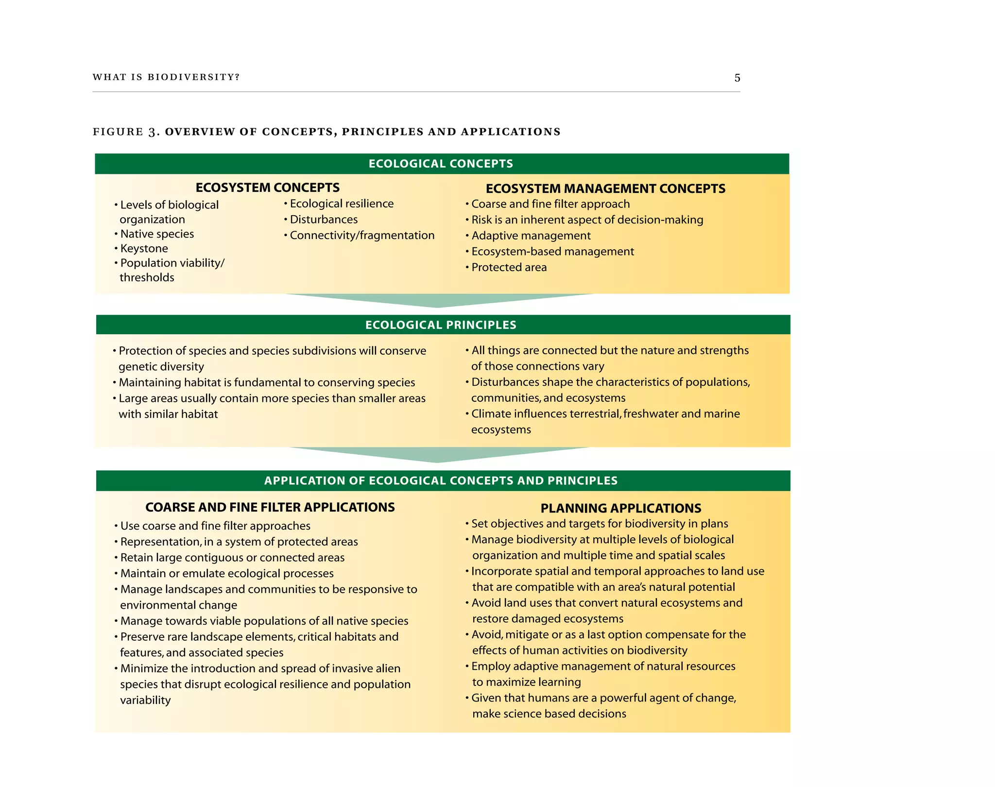   	 
ECOSYSTEM CONCEPTS
• Levels of biological
organization
• Native species
• Keystone
• Population viability/
thresholds
ECOSYSTEM MANAGEMENT CONCEPTS
• Coarse and fine filter approach
• Risk is an inherent aspect of decision-making
• Adaptive management
• Ecosystem-based management
• Protected area
ECOLOGICAL CONCEPTS
• Ecological resilience
• Disturbances
• Connectivity/fragmentation
• Protection of species and species subdivisions will conserve
genetic diversity
• Maintaining habitat is fundamental to conserving species
• Large areas usually contain more species than smaller areas
with similar habitat
• All things are connected but the nature and strengths
of those connections vary
• Disturbances shape the characteristics of populations,
communities,and ecosystems
• Climate influences terrestrial,freshwater and marine
ecosystems
ECOLOGICAL PRINCIPLES
APPLICATION OF ECOLOGICAL CONCEPTS AND PRINCIPLES
COARSE AND FINE FILTER APPLICATIONS
• Use coarse and fine filter approaches
• Representation,in a system of protected areas
• Retain large contiguous or connected areas
• Maintain or emulate ecological processes
• Manage landscapes and communities to be responsive to
environmental change
• Manage towards viable populations of all native species
• Preserve rare landscape elements,critical habitats and
features,and associated species
• Minimize the introduction and spread of invasive alien
species that disrupt ecological resilience and population
variability
PLANNING APPLICATIONS
• Set objectives and targets for biodiversity in plans
• Manage biodiversity at multiple levels of biological
organization and multiple time and spatial scales
• Incorporate spatial and temporal approaches to land use
that are compatible with an area’s natural potential
• Avoid land uses that convert natural ecosystems and
restore damaged ecosystems
• Avoid,mitigate or as a last option compensate for the
effects of human activities on biodiversity
• Employ adaptive management of natural resources
to maximize learning
• Given that humans are a powerful agent of change,
make science based decisions
 3. overview of concepts, principles and applications
 