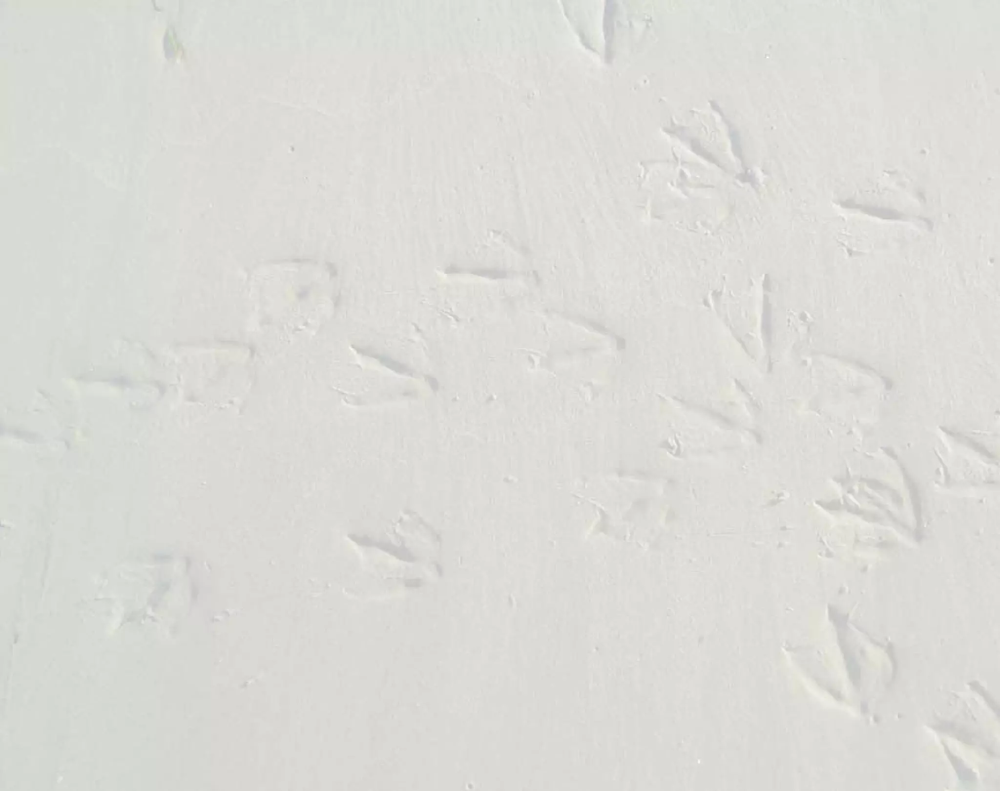 	    
 