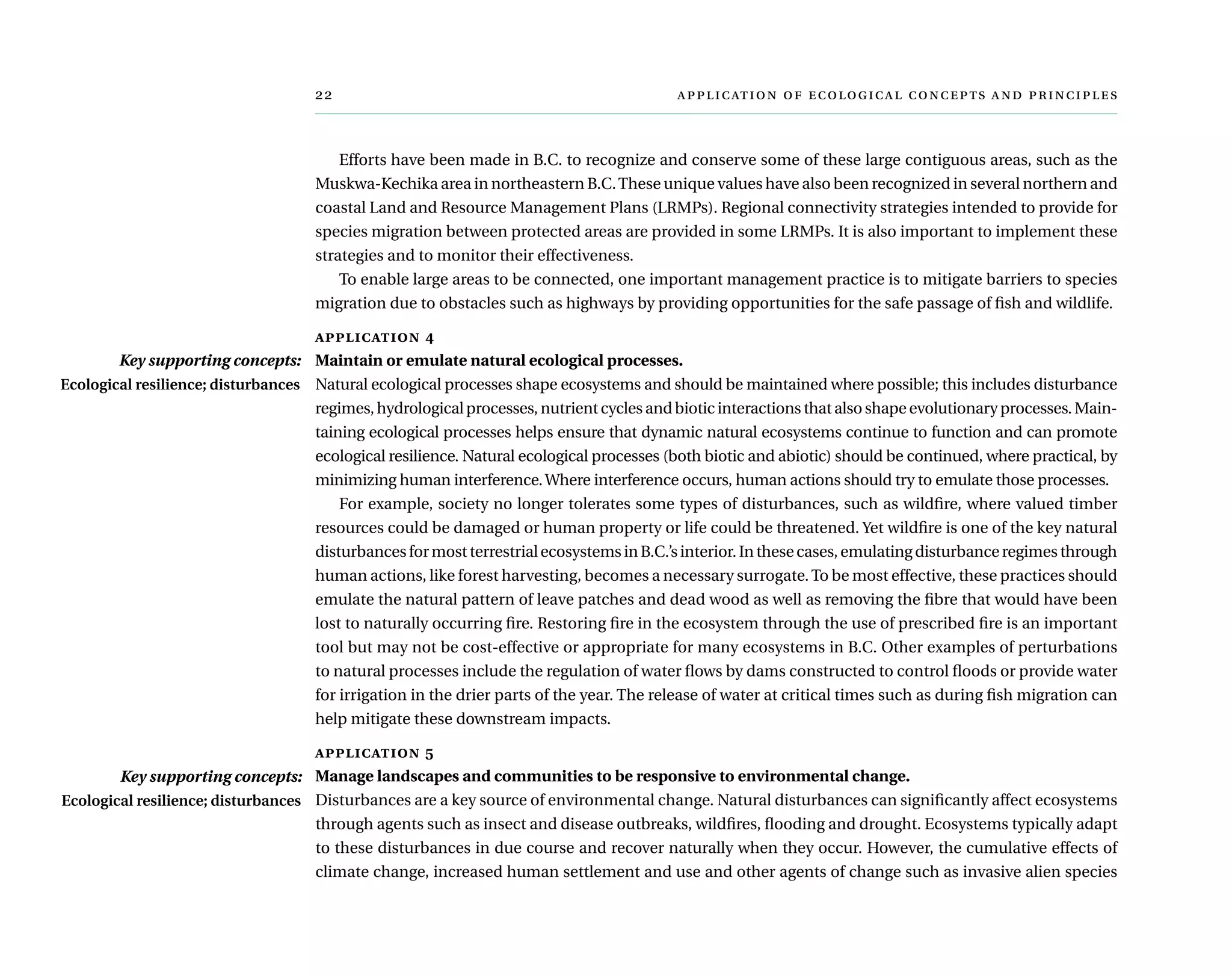 	      
Efforts have been made in B.C. to recognize and conserve some of these large contiguous areas, such as the
Muskwa-Kechika area in northeastern B.C.These unique values have also been recognized in several northern and
coastal Land and Resource Management Plans (LRMPs). Regional connectivity strategies intended to provide for
species migration between protected areas are provided in some LRMPs. It is also important to implement these
strategies and to monitor their effectiveness.
To enable large areas to be connected, one important management practice is to mitigate barriers to species
migration due to obstacles such as highways by providing opportunities for the safe passage of fish and wildlife.
application 4
Maintain or emulate natural ecological processes.
Natural ecological processes shape ecosystems and should be maintained where possible; this includes disturbance
regimes, hydrological processes, nutrient cycles and biotic interactions that also shape evolutionary processes. Main-
taining ecological processes helps ensure that dynamic natural ecosystems continue to function and can promote
ecological resilience. Natural ecological processes (both biotic and abiotic) should be continued, where practical, by
minimizing human interference.Where interference occurs, human actions should try to emulate those processes.
For example, society no longer tolerates some types of disturbances, such as wildfire, where valued timber
resources could be damaged or human property or life could be threatened. Yet wildfire is one of the key natural
disturbancesformostterrestrialecosystemsinB.C.’sinterior.Inthesecases,emulatingdisturbanceregimesthrough
human actions, like forest harvesting, becomes a necessary surrogate.To be most effective, these practices should
emulate the natural pattern of leave patches and dead wood as well as removing the fibre that would have been
lost to naturally occurring fire. Restoring fire in the ecosystem through the use of prescribed fire is an important
tool but may not be cost-effective or appropriate for many ecosystems in B.C. Other examples of perturbations
to natural processes include the regulation of water flows by dams constructed to control floods or provide water
for irrigation in the drier parts of the year. The release of water at critical times such as during fish migration can
help mitigate these downstream impacts.
application 5
Manage landscapes and communities to be responsive to environmental change.
Disturbances are a key source of environmental change. Natural disturbances can significantly affect ecosystems
through agents such as insect and disease outbreaks, wildfires, flooding and drought. Ecosystems typically adapt
to these disturbances in due course and recover naturally when they occur. However, the cumulative effects of
climate change, increased human settlement and use and other agents of change such as invasive alien species
Key supporting concepts:
Ecological resilience; disturbances
Key supporting concepts:
Ecological resilience; disturbances
 