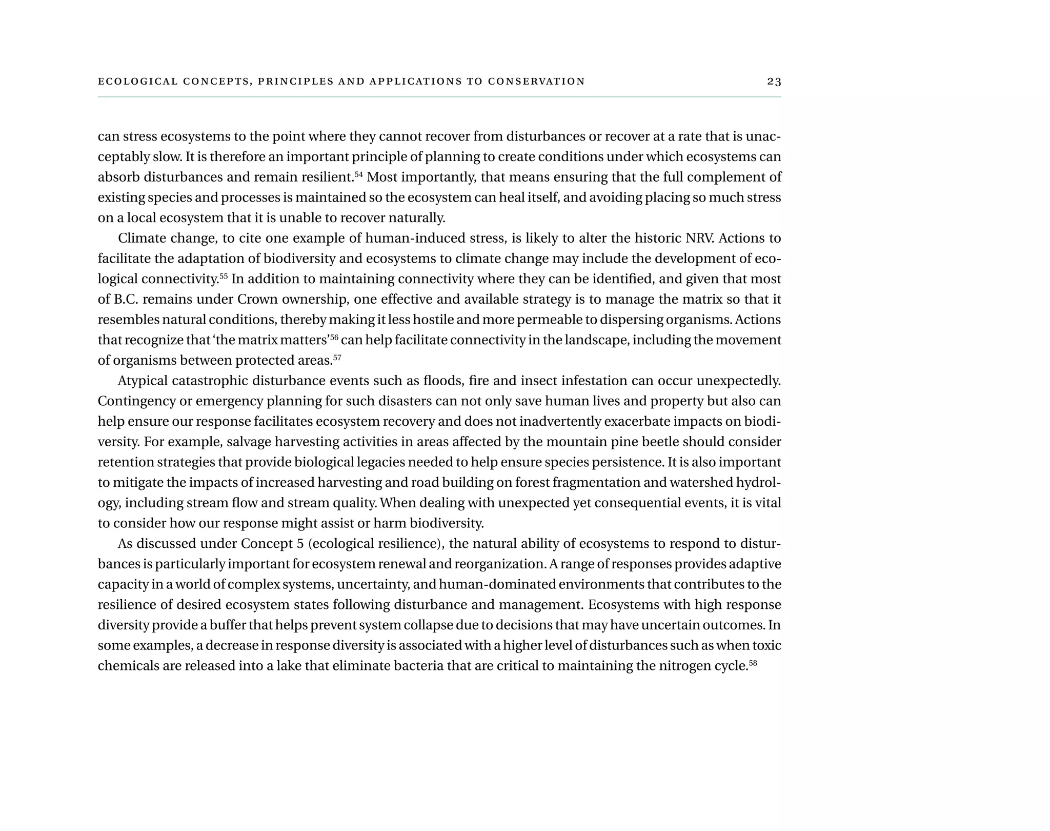  ,      	
can stress ecosystems to the point where they cannot recover from disturbances or recover at a rate that is unac-
ceptably slow. It is therefore an important principle of planning to create conditions under which ecosystems can
absorb disturbances and remain resilient.54
Most importantly, that means ensuring that the full complement of
existing species and processes is maintained so the ecosystem can heal itself, and avoiding placing so much stress
on a local ecosystem that it is unable to recover naturally.
Climate change, to cite one example of human-induced stress, is likely to alter the historic NRV. Actions to
facilitate the adaptation of biodiversity and ecosystems to climate change may include the development of eco-
logical connectivity.55
In addition to maintaining connectivity where they can be identified, and given that most
of B.C. remains under Crown ownership, one effective and available strategy is to manage the matrix so that it
resembles natural conditions, thereby making it less hostile and more permeable to dispersing organisms. Actions
that recognize that‘the matrix matters’56
can help facilitate connectivity in the landscape, including the movement
of organisms between protected areas.57
Atypical catastrophic disturbance events such as floods, fire and insect infestation can occur unexpectedly.
Contingency or emergency planning for such disasters can not only save human lives and property but also can
help ensure our response facilitates ecosystem recovery and does not inadvertently exacerbate impacts on biodi-
versity. For example, salvage harvesting activities in areas affected by the mountain pine beetle should consider
retention strategies that provide biological legacies needed to help ensure species persistence. It is also important
to mitigate the impacts of increased harvesting and road building on forest fragmentation and watershed hydrol-
ogy, including stream flow and stream quality. When dealing with unexpected yet consequential events, it is vital
to consider how our response might assist or harm biodiversity.
As discussed under Concept 5 (ecological resilience), the natural ability of ecosystems to respond to distur-
bances is particularly important for ecosystem renewal and reorganization. A range of responses provides adaptive
capacity in a world of complex systems, uncertainty, and human-dominated environments that contributes to the
resilience of desired ecosystem states following disturbance and management. Ecosystems with high response
diversity provide a buffer that helps prevent system collapse due to decisions that may have uncertain outcomes. In
some examples, a decrease in response diversity is associated with a higher level of disturbances such as when toxic
chemicals are released into a lake that eliminate bacteria that are critical to maintaining the nitrogen cycle.58
 