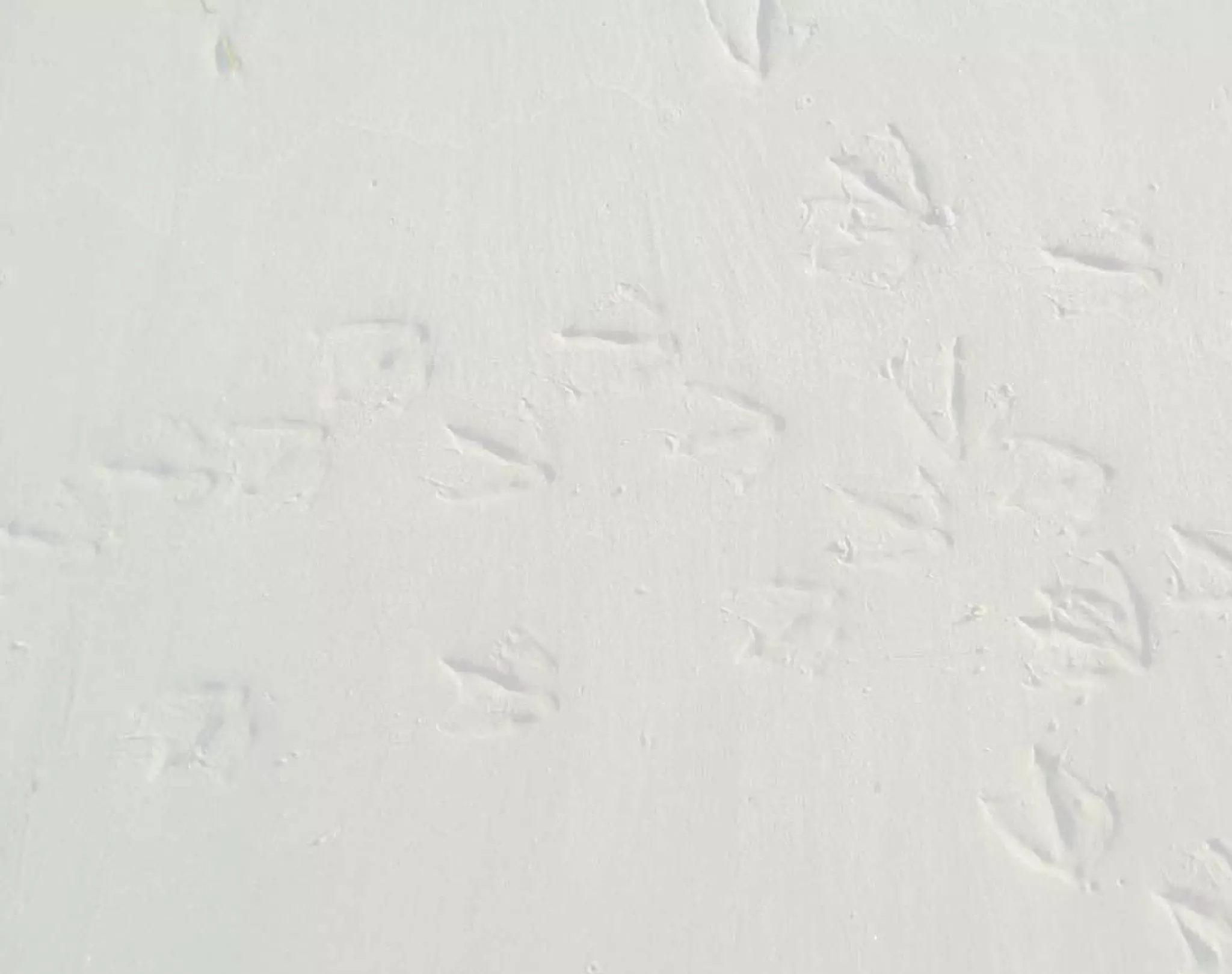   	
 