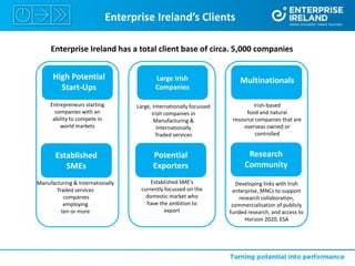 Enterprise Ireland - Alexa Toomey | PPTX
