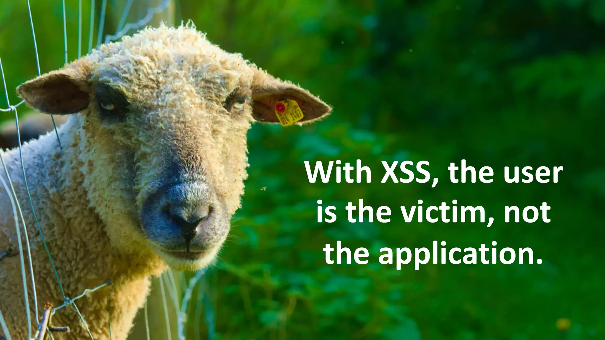 With XSS, the user
is the victim, not
the application.
 
