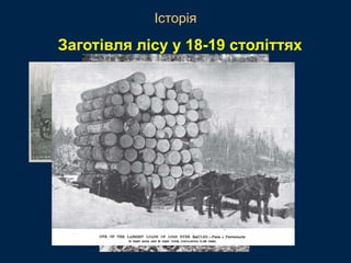 Заготівля лісу у 18-19 століттях
Історія
 