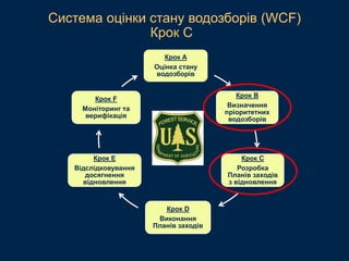 Крок A
Оцінка стану
водозборів
Крок B
Визначення
пріоритетних
водозборів
Крок C
Розробка
Планів заходів
з відновлення
Крок D
Виконання
Планів заходів
Крок E
Відслідковування
досягнення
відновлення
Крок F
Моніторинг та
верифікація
Система оцінки стану водозборів (WCF)
Крок C
 