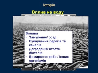 Впливи
• Замулення/ осад
• Руйнування берегів та
каналів
• Деградація/ втрата
біотопів
• Вимирання риби / інших
організмів
Вплив на воду
Історія
 