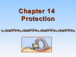 Chapter 14
 Protection
 