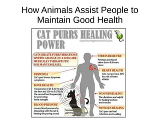How Animals Assist People to
Maintain Good Health
 
