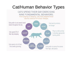 Cat/Human Behavior Types
 