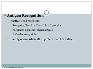 © 2012 Pearson Education, Inc.
Antigen Recognition
 Inactive T cell receptors
 Recognize Class I or Class II MHC proteins
 Recognize a specific foreign antigen
 Double recognition
 Binding occurs when MHC protein matches antigen
 