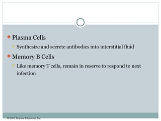 © 2012 Pearson Education, Inc.
Plasma Cells
 Synthesize and secrete antibodies into interstitial fluid
Memory B Cells
 Like memory T cells, remain in reserve to respond to next
infection
 