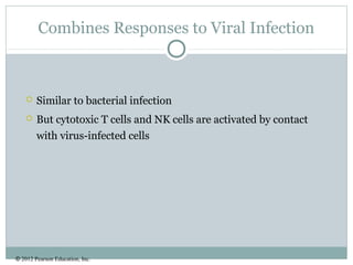 © 2012 Pearson Education, Inc.
Combines Responses to Viral Infection
 Similar to bacterial infection
 But cytotoxic T cells and NK cells are activated by contact
with virus-infected cells
 