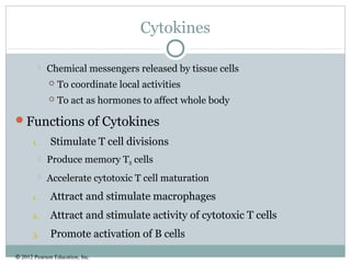 © 2012 Pearson Education, Inc.
Cytokines
 Chemical messengers released by tissue cells
 To coordinate local activities
 To act as hormones to affect whole body
Functions of Cytokines
1. Stimulate T cell divisions
 Produce memory TH cells
 Accelerate cytotoxic T cell maturation
1. Attract and stimulate macrophages
2. Attract and stimulate activity of cytotoxic T cells
3. Promote activation of B cells
 
