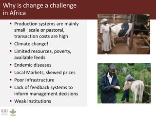 Innovative use of conventional and new technologies to unravel breed options for smallholder dairy production in Africa