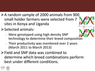 Innovative use of conventional and new technologies to unravel breed options for smallholder dairy production in Africa