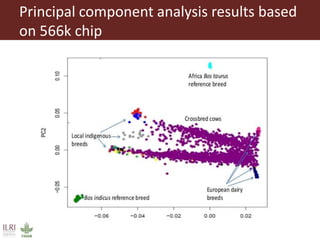 Innovative use of conventional and new technologies to unravel breed options for smallholder dairy production in Africa